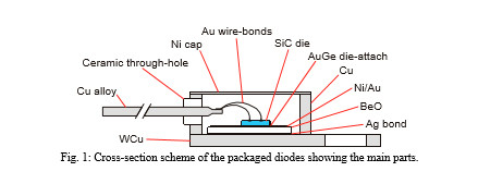 Cross-section scheme of the packaged diodes showing the main parts