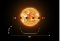 PLAnetary Transits and Oscillations of stars PLATO